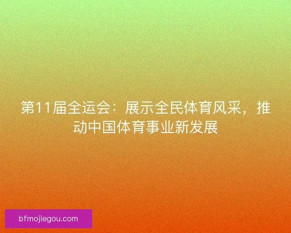 第11届全运会：展示全民体育风采，推动中国体育事业新发展