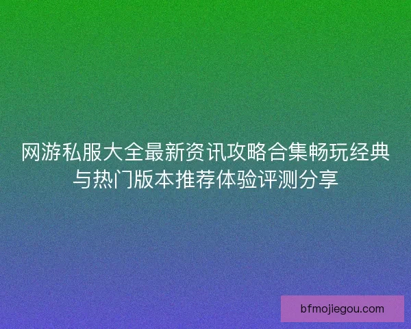 网游私服大全最新资讯攻略合集畅玩经典与热门版本推荐体验评测分享