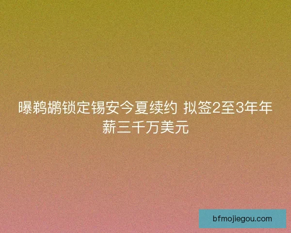 曝鹈鹕锁定锡安今夏续约 拟签2至3年年薪三千万美元